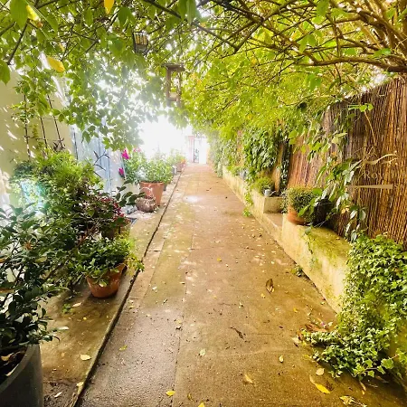 Le Jardin Croix Roussien *